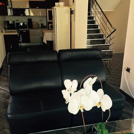 Affittacamere Allegra Obzor